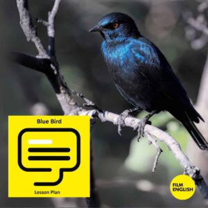 Blue Bird