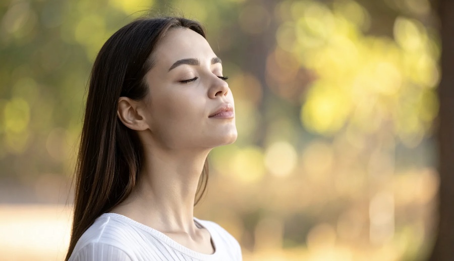 Link to full downloadable ESL video lesson plan on guided imagery – ideal for B1–B2 students